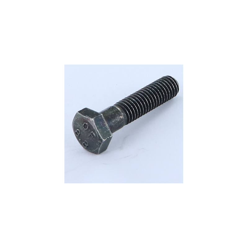 Screw 088409359