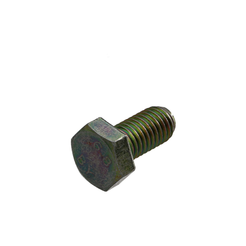Vis HEX M6x12 99907200501
