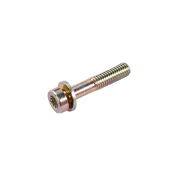 Vis M8x40 étoile avec rondelle OCCASION